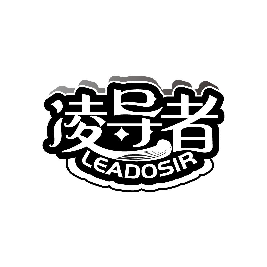 凌导者LEADOSIR