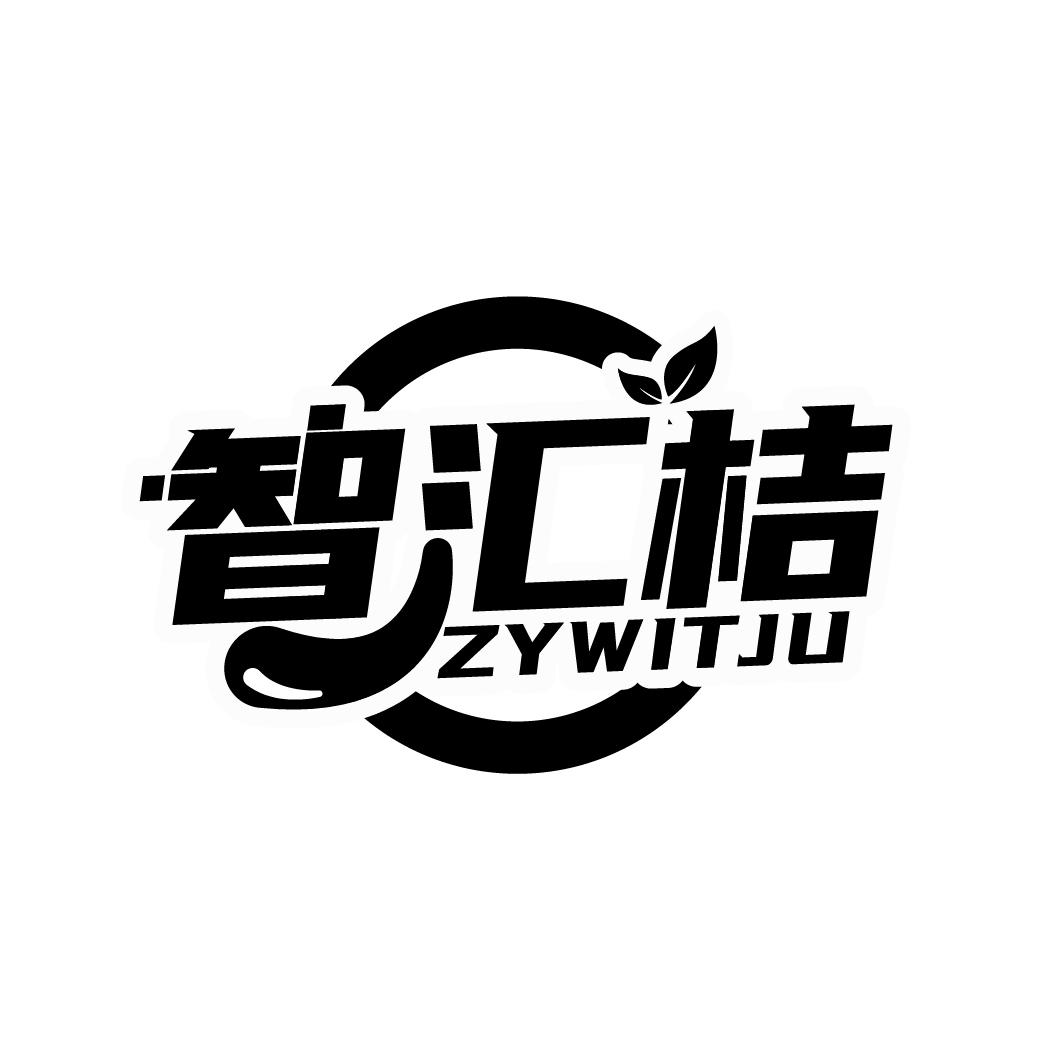 智汇桔ZYWITJU