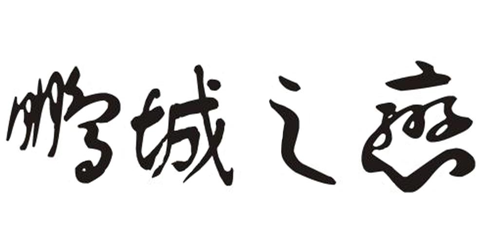 鹏城之恋