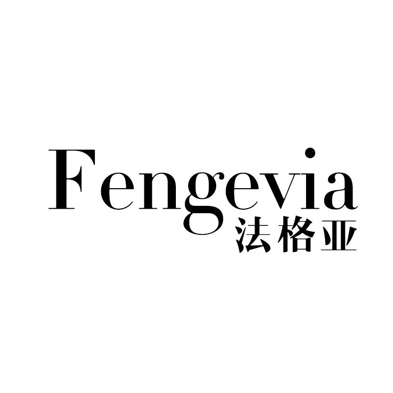 法格亚FENGEVIA