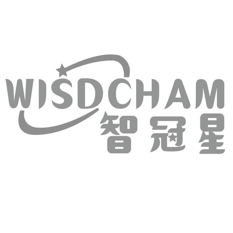 智冠星WISDCHAM