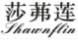 莎茀莲SHAWNFLIN
