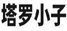 塔罗小子
