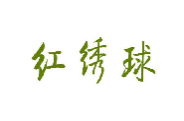 红绣球