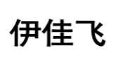 伊佳飞
