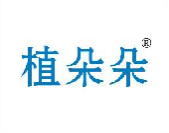 植朵朵