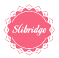 SLIBRIDGE