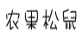 农果松鼠