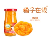 橘子在线