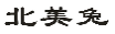 北美兔