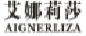 艾娜莉莎AIGNERLIZA