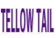 TELLOWTAIL