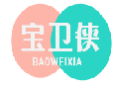 宝卫侠BAOWEIXIA