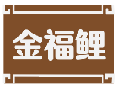 金福鲤