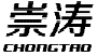 崇涛CHONGTAO