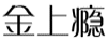金上瘾