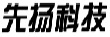 先扬科技