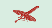 蜻蜓图形