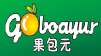 果包元