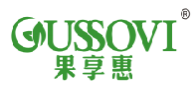 果享惠GUSSOVI