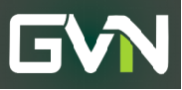 GVN