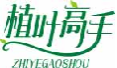 植叶高手zhiyegaoshou