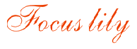 FOCUSLILY