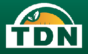 TDN