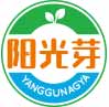 阳光芽yangguangya