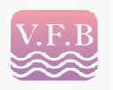VFB