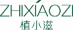 植小滋zhixiaozi