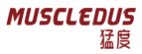 猛度MUSCLEDUS