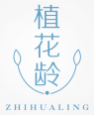 植花龄