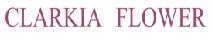 CLARKIAFLOWER