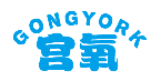 宫氧GONGYORK