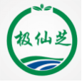 极仙芝