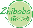 植啵啵zhibobo